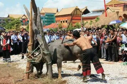 (辛巴族在那个国家)世界最开放部落辛巴族：传承千年文化，与世隔绝的自然乐园