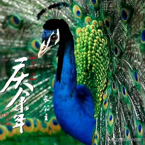 庆余年手游官方网站:最新资讯、下载攻略、福利活动一应俱全,快来一探究竟!