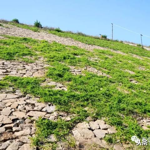 (荣耀全明星新区开启时间)荣耀全明星新区发布:精彩纷呈,无限可能,激情开启! (荣耀全明星新区开启时间)荣耀全明星新区发布:精彩纷呈,无限可能,激情开启!