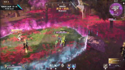 (永劫无间楠枫在哪里直播)永劫无间南枫在哪直播?请问大家知道吗?