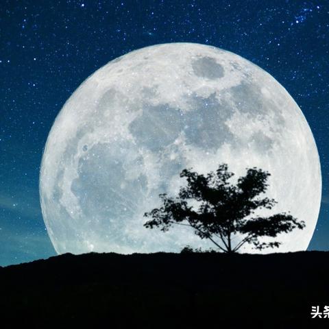 (满月之旅)探索佳期月圆游戏的奇幻世界:如何在满月之夜收获幸福与勇气 (满月之旅)探索佳期月圆游戏的奇幻世界:如何在满月之夜收获幸福与勇气