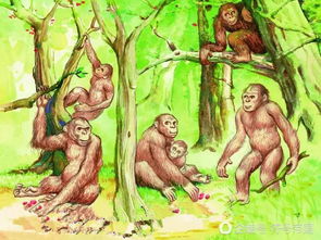 (猿猴进化人类图)漫步人类进化之路：探索猿猴进化游戏的神秘世界