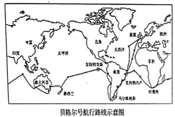 达尔文进化论：自然选择和物种适应在生物进化过程中起到的关键作用