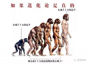 达尔文进化论：自然选择和物种适应在生物进化过程中起到的关键作用