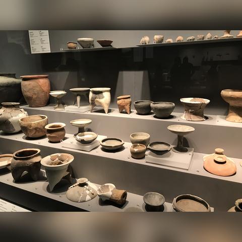 (远古时代生存)远古生存攻略:揭秘古代人如何在野外生存的独特技巧和智慧
