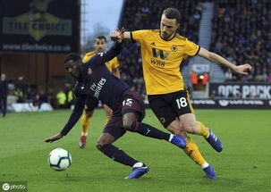 (狼队足球俱乐部百科)狼队足球俱乐部老板:管理团队,引领风向,热衷球场发展 (狼队足球俱乐部百科)狼队足球俱乐部老板:管理团队,引领风向,热衷球场发展