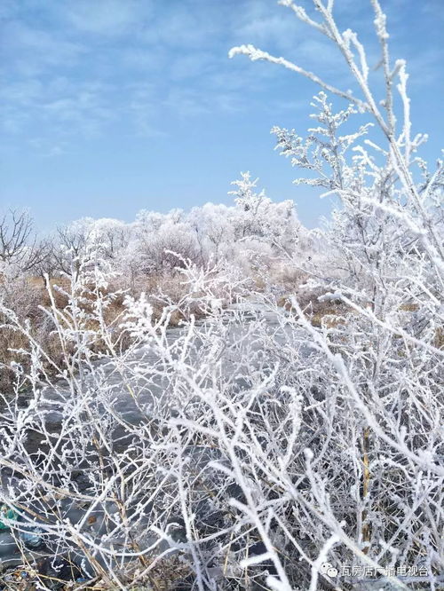 (雪是由水蒸气凝固而成的吗)雪是水蒸气在大气中凝结凝华而成的自然现象吗?