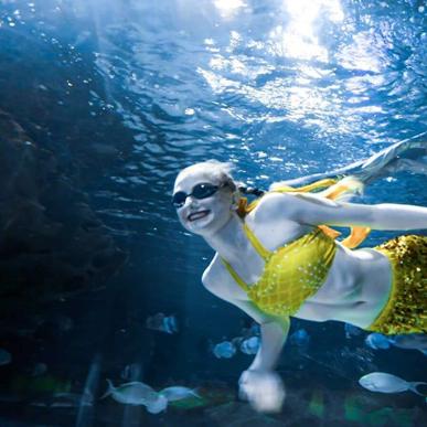 体验海底世界好去处:一游水族馆乐园无限金币无限钻石,尽享精彩海洋生物与热门游戏无限挑战 体验海底世界好去处:一游水族馆乐园无限金币无限钻石,尽享精彩海洋生物与热门游戏无限挑战