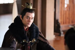 探讨武道神尊中各个女主角的身份和特点:以江连城、苏明月等为研究对象