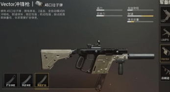 生存战争恒泰枪械模组手机版:详解真实战场体验,掌握关键生存能力