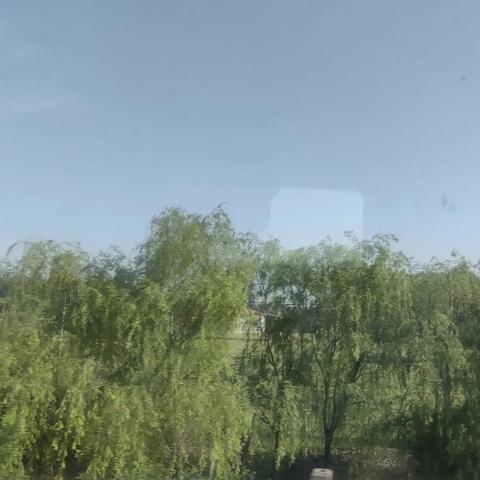 (搜狗高速浏览器卸不了怎么办)搜狗高速浏览器无法卸载？一步一步详细教你怎么彻底卸载
