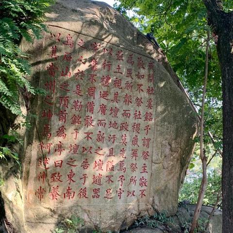 仙与仙道：探寻修仙之道，探索仙界之秘，解读仙灵与人间互动的奥秘